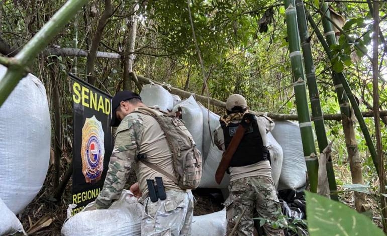 SENAD destruye 7 toneladas de marihuana y 6 campamentos narcos en Amambay