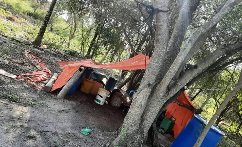 campamento__destacado.jpg