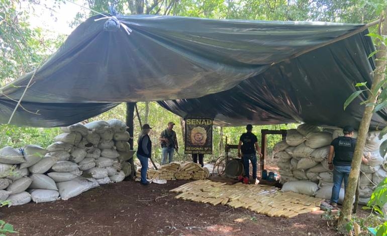 Senad desmanteló centro de almacenamiento de marihuana en Amambay