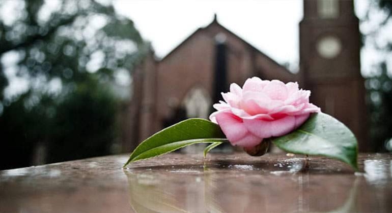 flor-tumba-duelo__destacado.jpg