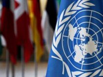 Paraguay recibe más de 200 recomendaciones sobre derechos humanos en la ONU