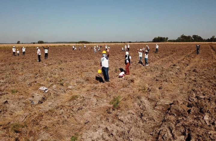 Exitosa plantación de 1.000 árboles en Guairá