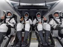 „Me sentí muy pesado“: cuatro astronautas relatan su regreso a la Tierra con SpaceX