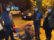 Hallan muerta a mujer tras denuncia de abandono de animales