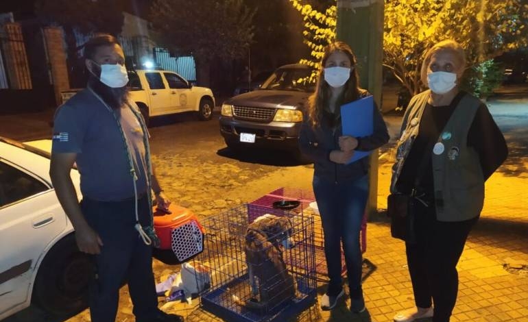 Hallan muerta a mujer tras denuncia de abandono de animales