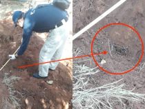 Caso Analía: se pudo evitar tanta angustia si Fiscalía emplazaba a telefonías Caso Analía: se pudo evitar tanta angustia si Fiscalía emplazaba a telefonías