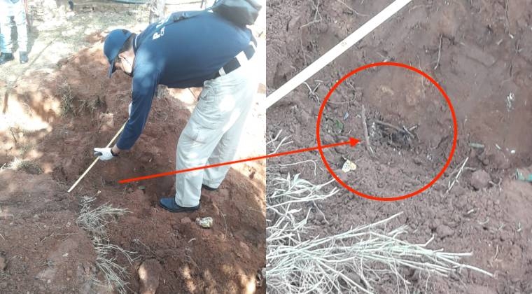 Encuentran teléfono de Analía cerca de la fosa en la que había sido enterrada