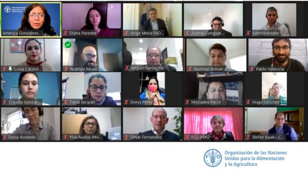 Socializan proyecto sobre reducción de emisiones de los gases de efecto invernadero en la ganadería