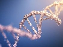 Una proteína que ayuda a reparar el ADN podría potenciar la quimioterapia