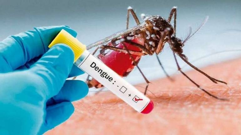 Reportaron nuevos casos de dengue en Yaguarón y Encarnación