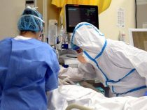 Con otras 115 muertes, Paraguay supera la barrera de los 11.000 fallecidos por COVID-19