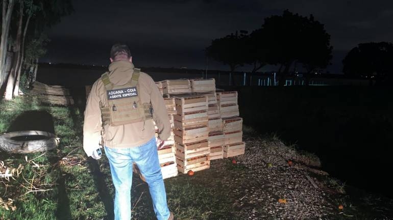 Decomisan 300 cajas de tomate de contrabando en Remansito