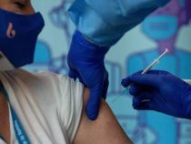 COVID-19: anticuerpos perduran 12 meses después y aumentan con la vacuna