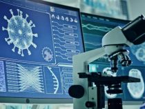 Identifican 19 variantes del COVID-19 en circulación en el Estado más poblado de Brasil Identifican 19 variantes del COVID-19 en circulación en el Estado más poblado de Brasil