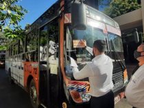 Línea 12 empieza a cubrir desde hoy el ramal Anahí dejado por la Línea 29