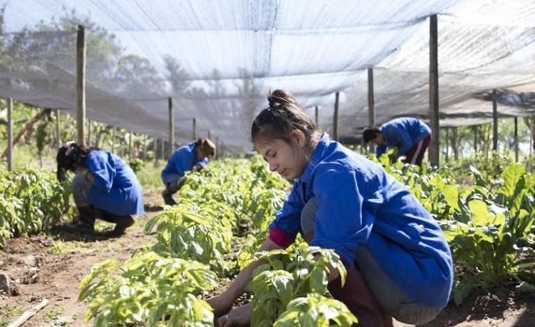 Una escuela paraguaya es elegida como innovación impactante de América Latina