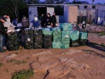 Pornografía infantil: presentan cajas halladas en casa de ciudadano alemán Pornografía infantil: presentan cajas halladas en casa de ciudadano alemán