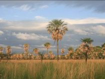 Conocé las joyas de Formosa Conocé las joyas de Formosa