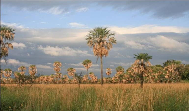 Conocé las joyas de Formosa