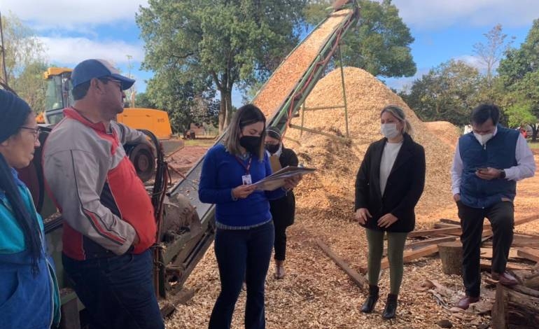 Suspenden aserradero de Itapúa por presunto hallazgo de trabajo infantil