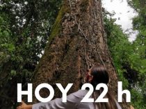 Hoy cierran las inscripciones al concurso “Colosos de la Tierra” Hoy cierran las inscripciones al concurso “Colosos de la Tierra”