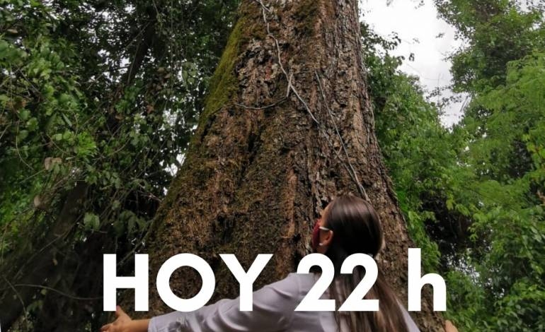 Hoy cierran las inscripciones al concurso “Colosos de la Tierra”