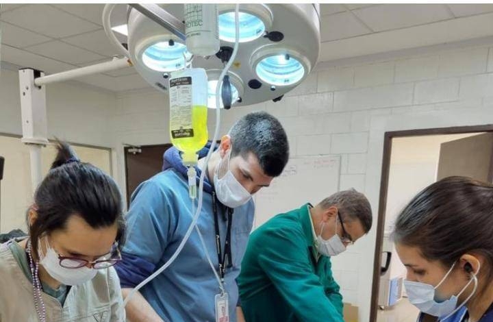 Chequeo médico concluyó que puma rescatado goza de buena salud