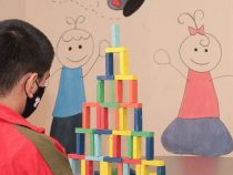 Aprueban postulación de resguardo de 2 niños priorizados por sus condiciones de salud