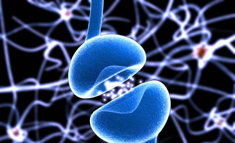 Primer ensayo clínico mundial sobre las mitocondriales