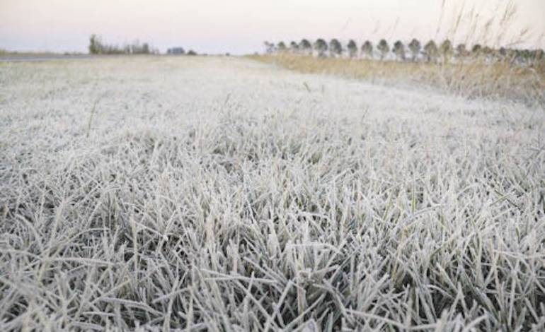 Un trimestre más de sequía pronostica Climatología