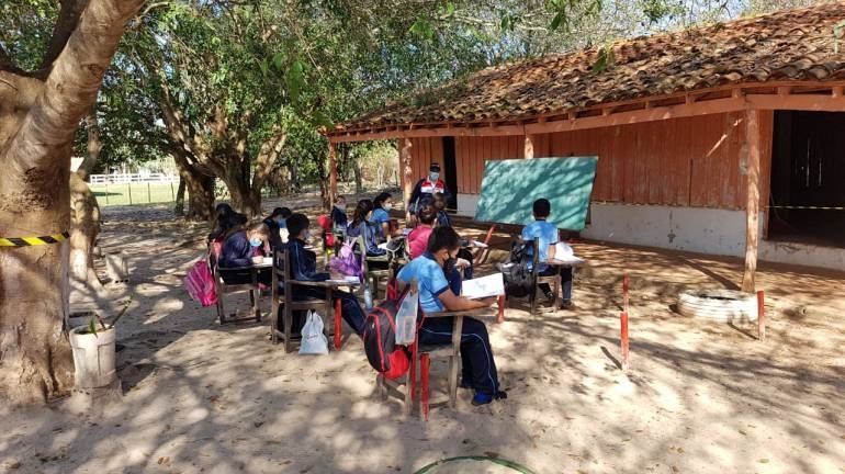 Alumnos iniciaron clases presenciales bajo árboles en Concepción