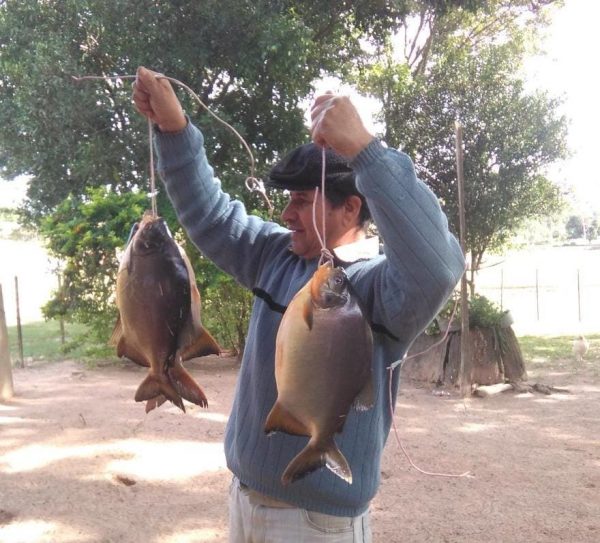Productor logra exitosa cría de tilapia y pacú con asistencia del CAH