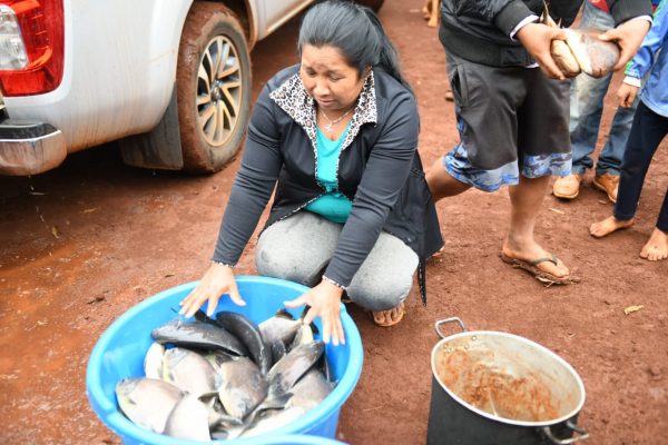 Itaipu entregó 300 kilos de pescado a comunidades indígenas de Alto Paraná