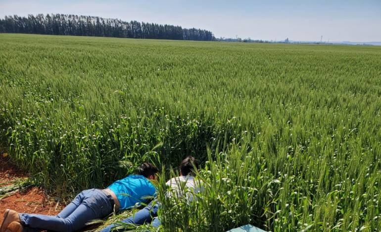 Incautan avioneta con importante carga de drogas en Alto Paraná