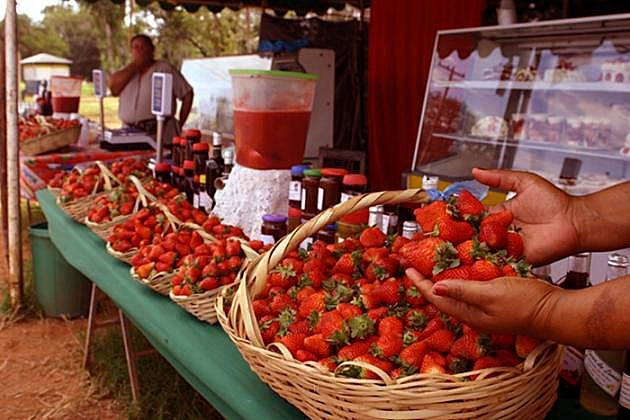 Feria de la Frutilla se traslada a la Costanera de Asunción