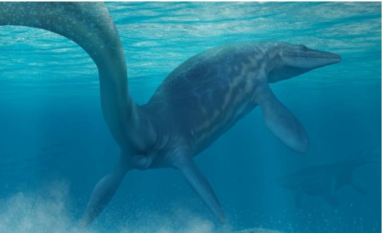 mososaurio__destacado.jpg
