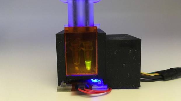 Diseñan una prueba doméstica que detecta en saliva el virus y sus variantes