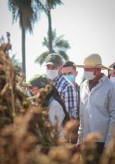 Mandatario resalta rentabilidad del cáñamo como rubro que puede revolucionar agricultura familiar campesina