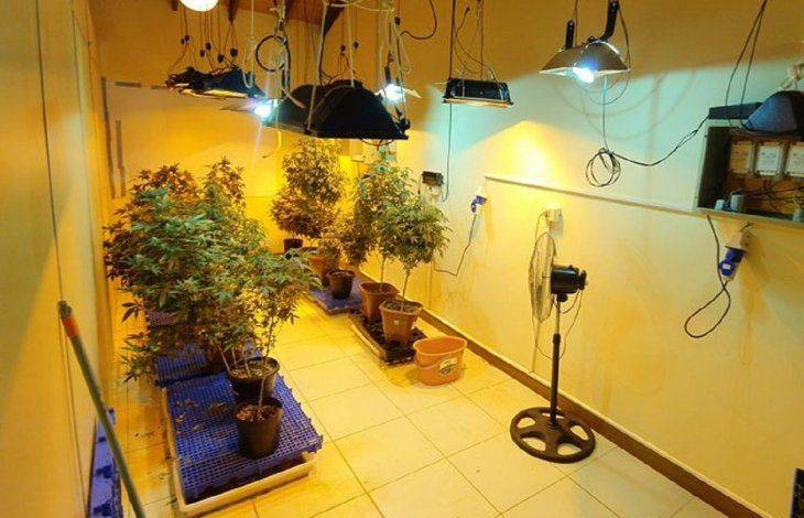 Doce acusados afrontan preliminar por el caso marihuana VIP