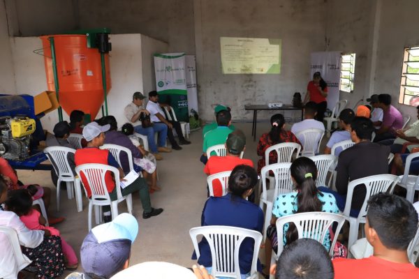 Indígenas de Canindeyú incursionan en el cultivo del cáñamo con fines industriales